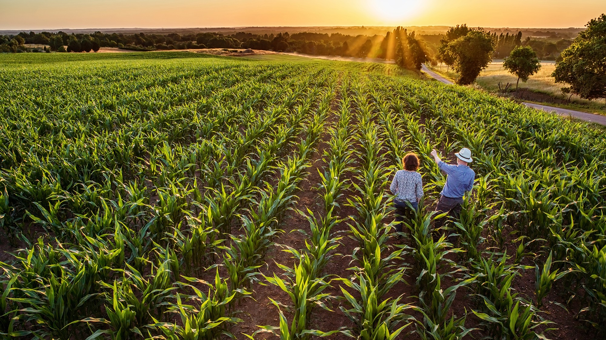 Filme “Brasil Agro – Terra que Alimenta, Futuro que Inspira” será lançado em 2026