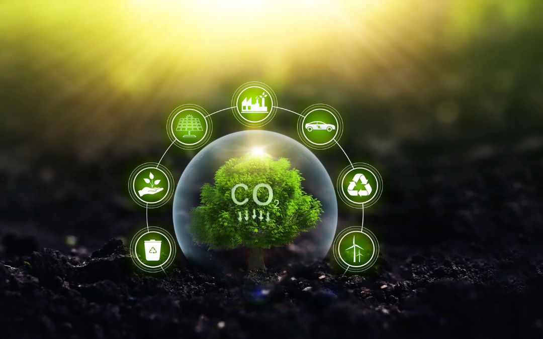 Agro busca espaço nas decisões sobre clima e carbono
