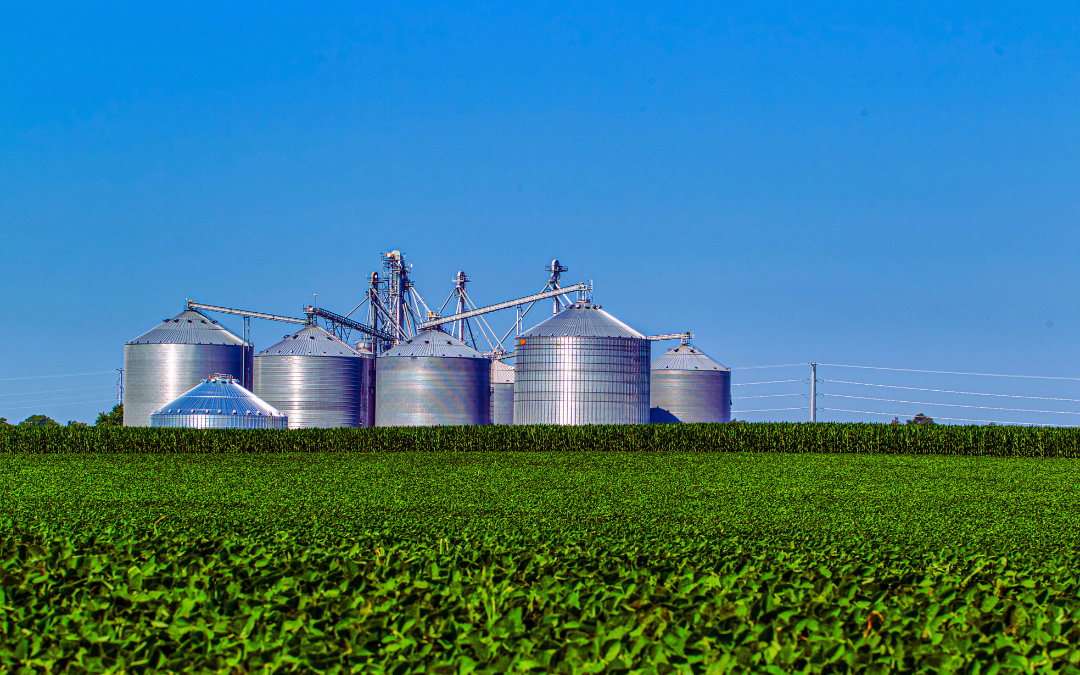 Novo marco do seguro rural pode destravar crédito e acelerar retomada do agro