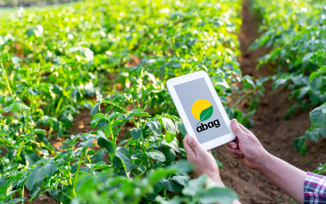 Fertilizantes, dívidas e crédito devem ser maiores desafios do agro