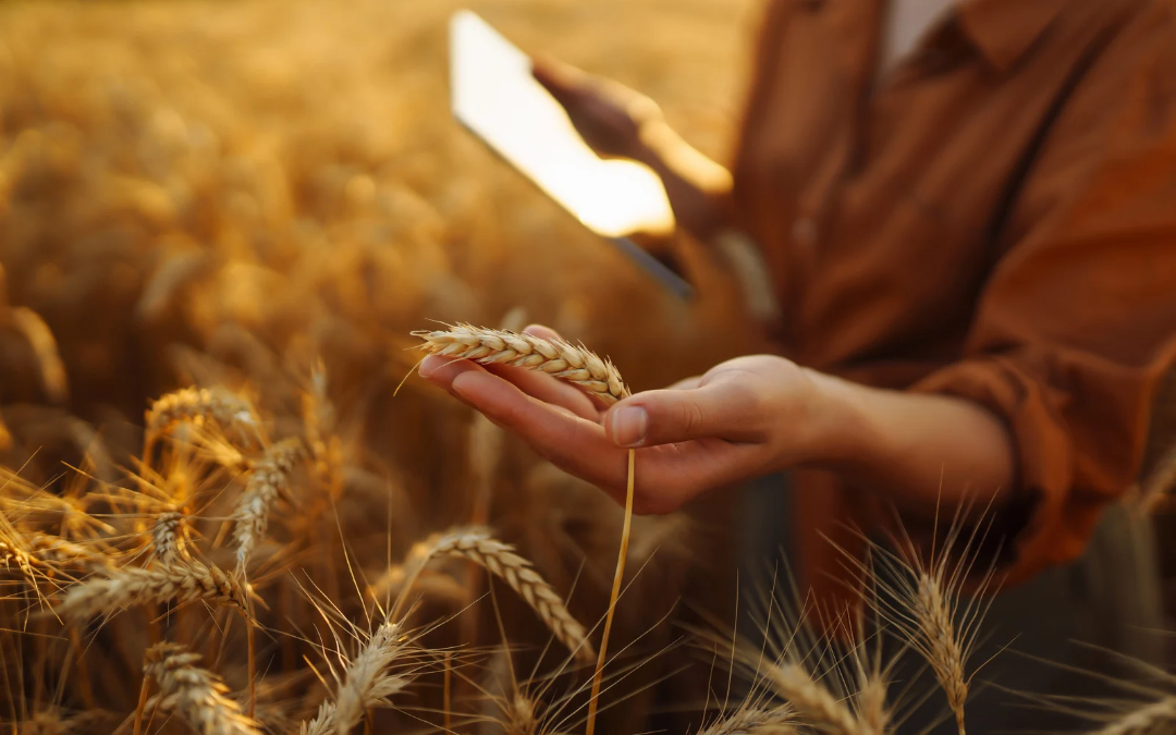 Mulheres já representam 40% dos decisores rurais e ampliam presença na gestão do agro