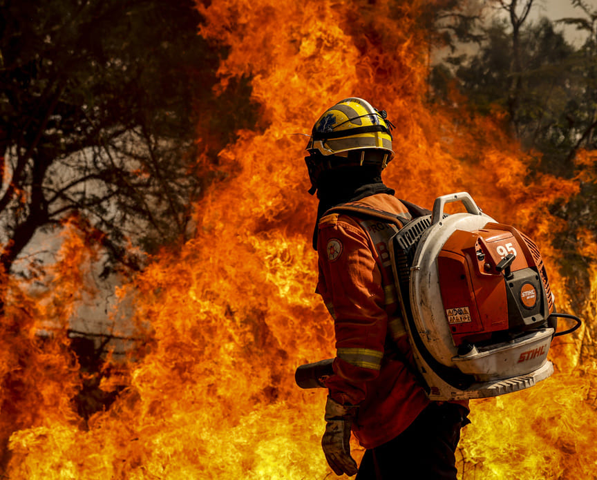 NOTA da ABAG: incêndios florestais no interior de São Paulo