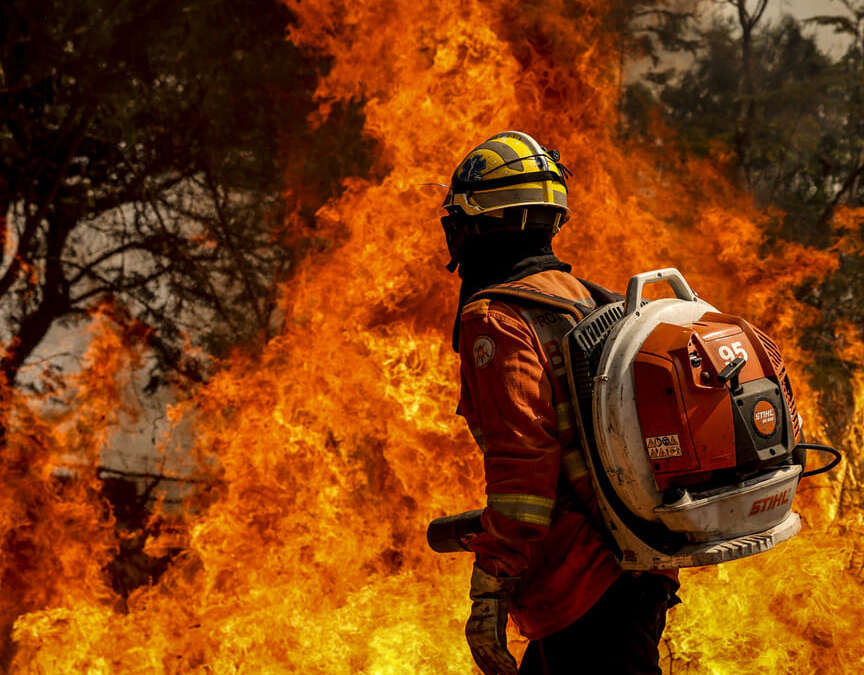 NOTA da ABAG: incêndios florestais no interior de São Paulo