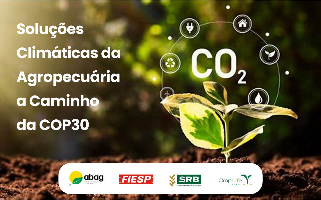 Soluções Climáticas da Agropecuária a Caminho da COP30